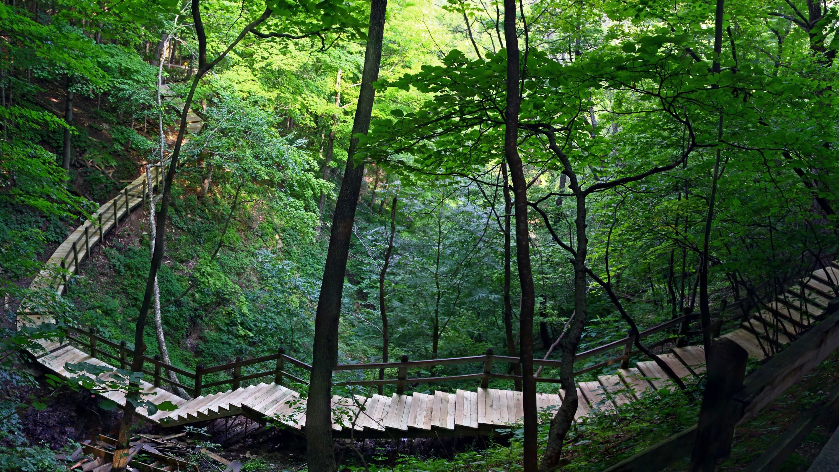 Untitled_design_2_1b680c5f-331d-4c9c-91ea-ae95949e71d0